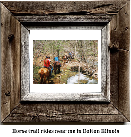 horse trail rides near me in Dolton, Illinois